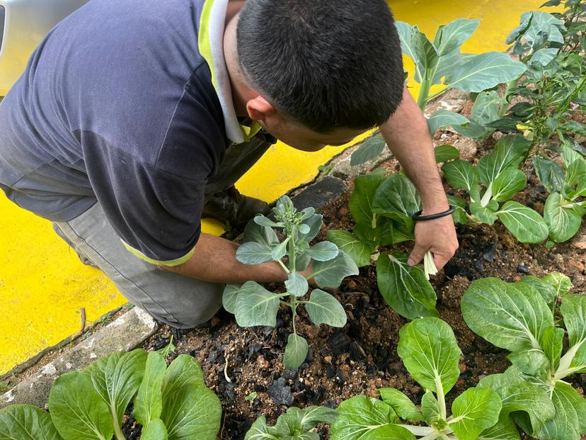 Responsible Business Alliance Standards