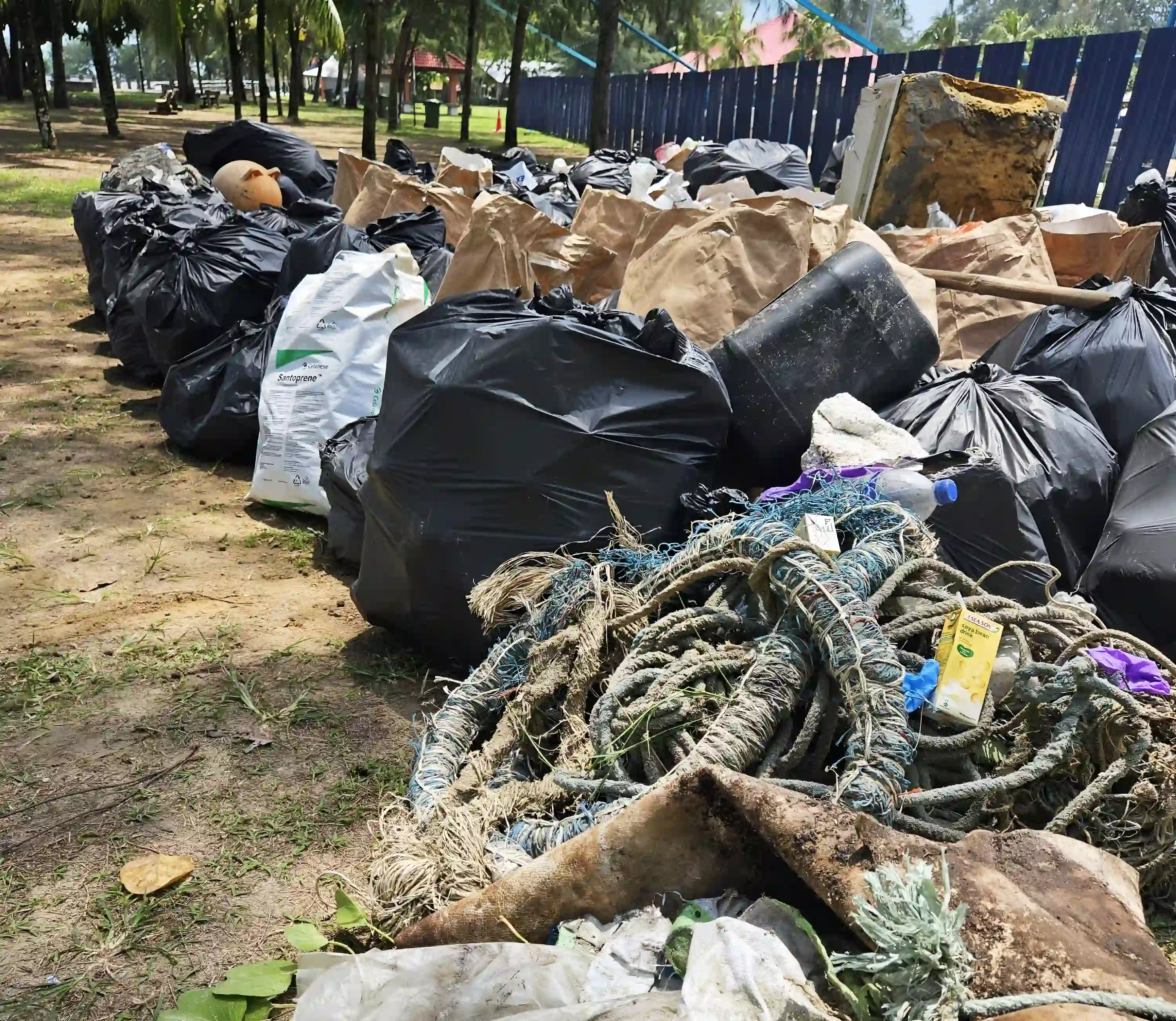 Collected Trash from Beach Cleanup
